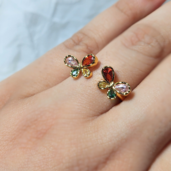 The Multi-Fly Ring